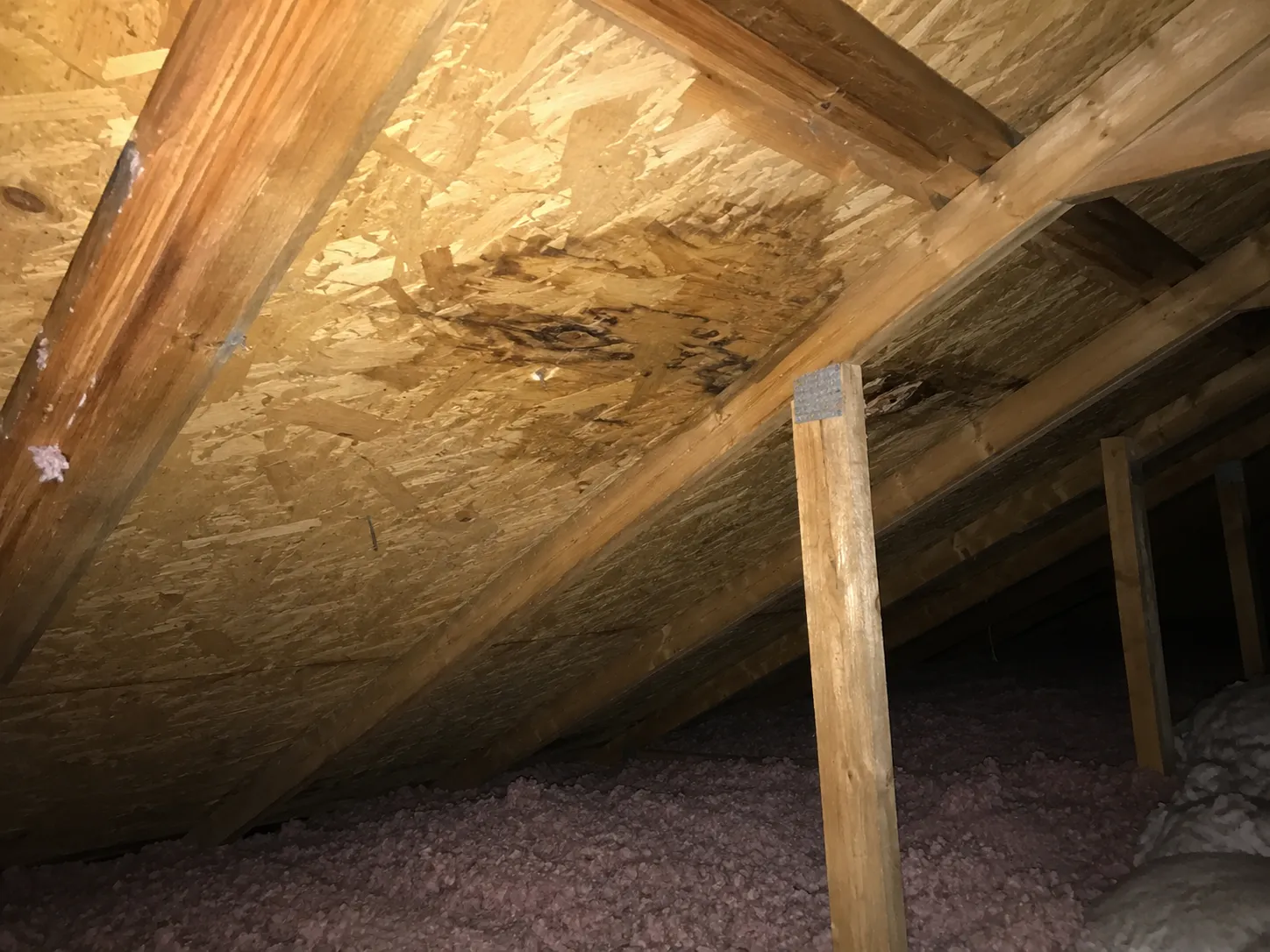Attic inspection for signs of a roof leak in a Milwaukee home